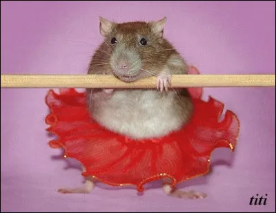 Trouve le nom de ce sport, car c'en est un !