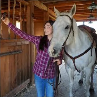 Quel est le nom du cheval de Georgie ?