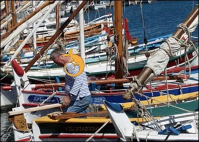 Malheureusement, elle a dû rentrer chez elle. Bref, continuons. Le Tour de France touche à sa fin. Notre animal a trouvé quelqu'un pour l'accompagner à la course. Sur quel moyen de transport se trouve le Caméléon ?