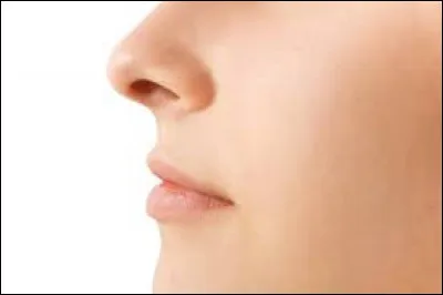 Complétez cette expression : "Mener quelqu'un par le ... du nez".