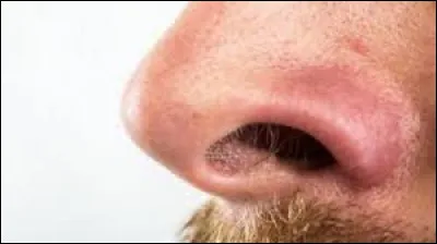 Complétez cette expression : "À ... de nez".