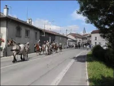 Nous traversons en ce moment Pagny-sur-Meuse. Commune du Grand-Est, traversé par la RN4, elle se situe dans le département ...