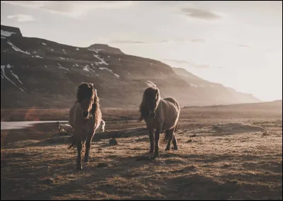 En termes de taille, tu ferais plutôt...