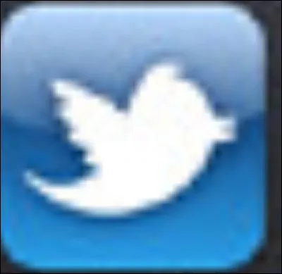 Devine le logo. (Indice : cela commence par T)