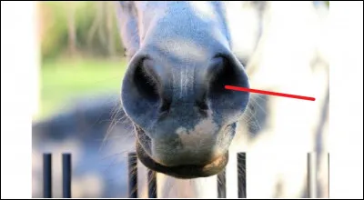 Et celle-ci, comment la nomme-t-on ?