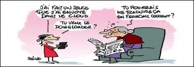 Quelle expression est un anglicisme ?