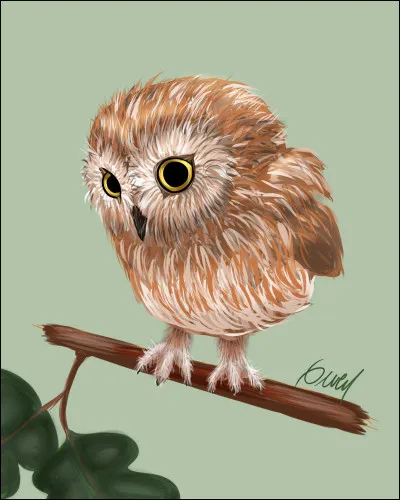 Comment s'appelle le hibou de Ron Weasley ?