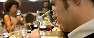 Comment appelle-t-on la science qui a pour étude la connaissance du vin ?