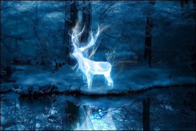 (Tome 3)
Quelle formule permet de faire apparaître un Patronus ?