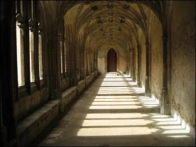 (Tome 7)
Piertotum Locomotor sert à protéger le château de Poudlard.