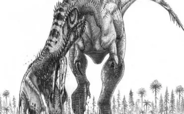 Quiz Dinosaures