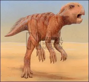 Comment s'appelle ce dinosaure ?