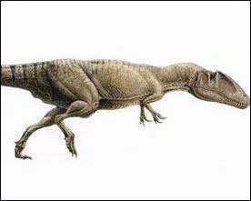 Quel est ce dinosaure ?