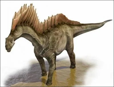 Quel est le nom de ce dinosaure ?