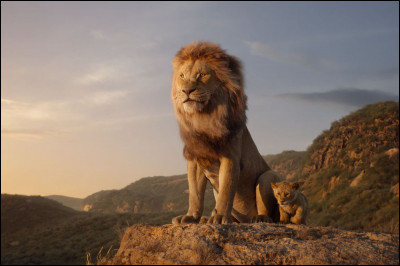 Dans le film "Roi lion 1", qui est Nala ?