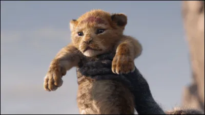 Dans le fim "Roi lion 1", qui est Zazu ?