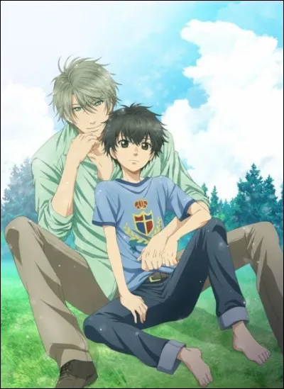 Quel est le nom de cet anime ?