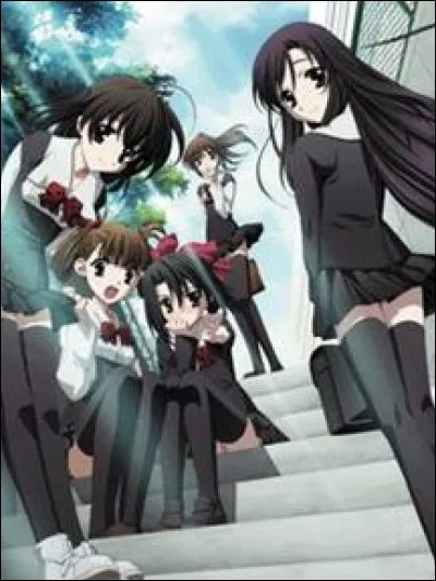 Quel est le nom de cet anime ?