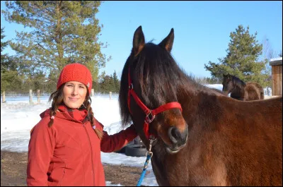 Comment appelle-t-on le harnachement que ce cheval à sur la tête ?