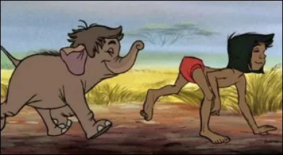 Quel est le nom de ce petit et mignon éléphant ?