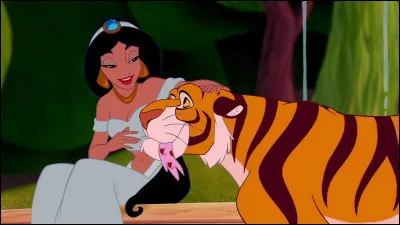Quel est le nom du tigre de Jasmine ?