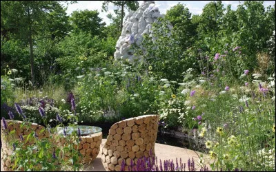 Les abeilles vont butiner dans ce jardin mellifère. Quel miel vont-elles produire ?