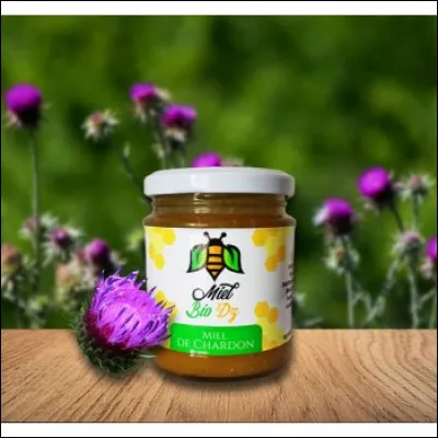 Très rare en France, le miel de chardon, limpide et doré à la récolte, devient, une fois figé, marron clair.
Trouvez le chardon.