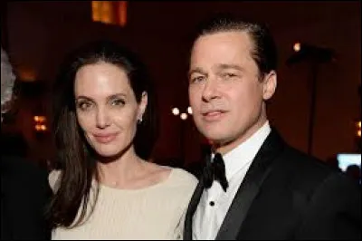 Quel est le nom du domaine dont Brad Pitt et Angelina Jolie sont propriétaires ?