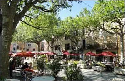 Que fête-t-on tous les ans à Tourtour ?