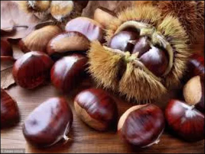 Où est organisée la plus grande fête de la châtaigne du Var ?