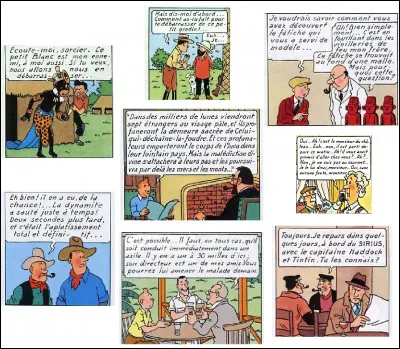 Sur ce patchwork pioché dans divers albums, toutes les vignettes ont un point commun : lequel ?