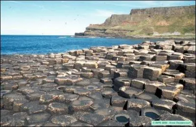De quelle matire est faite 'La chause des gants' en Irlande ?
