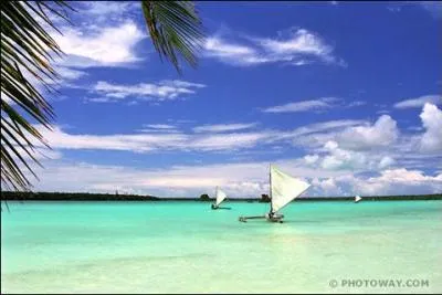 A quelle ile du Pacifique appartient ce langon ?