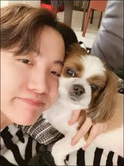Comment s'appelle le chien de J-Hope ?