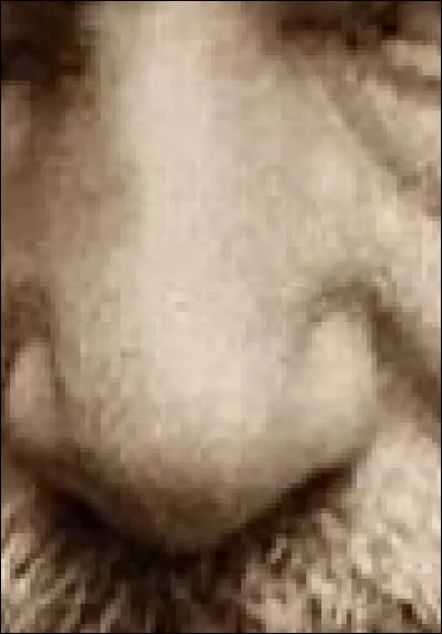 Enfin, à qui associez-vous ce nez ?