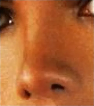 À quel célèbre chanteur ce nez appartient-il ?