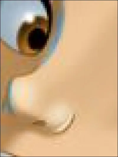 Qui possède ce joli petit nez ?