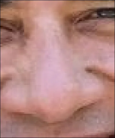 À qui ce nez est-il ?