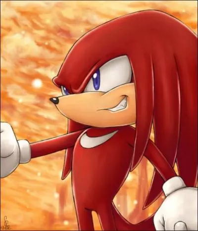 Knuckles est quoi ?