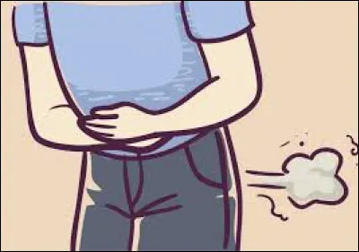 Quel mot est un synonyme du mot "pet" ?