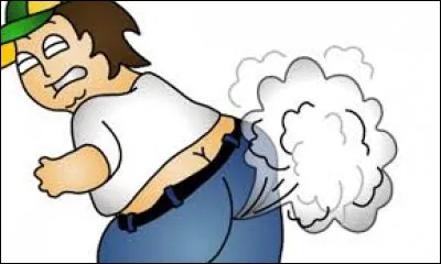 Qu'est-ce qu'est le pet-en-l'air ?