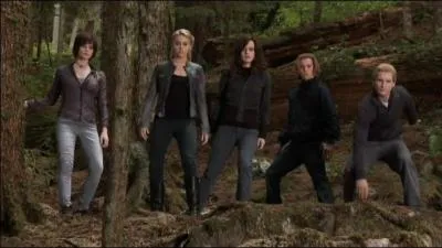 Quelle est cette famille ?