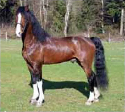 Qu'est-ce qu'un crack ?