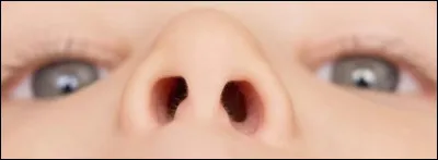 "Montrer le bout de son nez" veut dire :