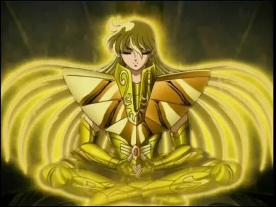 Enfin, je vous présente le toujours calme et taciturne Shaka.
Sous quelle constellation est-il né, constellation dont il est aussi le chevalier ?