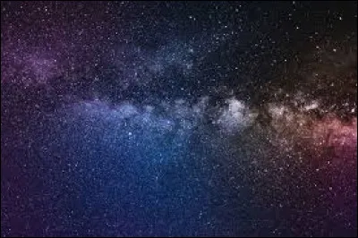 Quel a été le premier animal envoyé dans l'espace ?