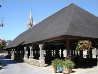 Ville de 7 500 habitants du département du Morbihan, située en bordure sud des landes de Lanvaux :