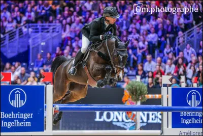 Je participe dans des compétitions de saut, de dressage et de cross, principalement. Moi et mon cheval somme généralement fidèles compagnons et avons une unique relation. Mon but est de gagner des prix, tels l'argent et les trophées. Si je suis un des meilleurs de mon pays, je participe même aux Jeux olympiques. Qui suis-je ?