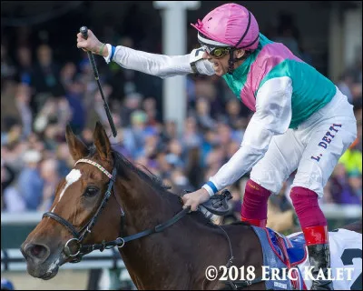 Je monte les chevaux de course et je suis considéré comme sportif de haut niveau. Je ne connais pas vraiment ma monture en général, mon but est uniquement de faire gagner l'équidé et remporter de l'argent. Je peux être employé par plusieurs propriétaires. Si je fais du trot au lieu du galop, je suis alors un driver. Qui suis-je ?