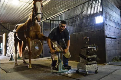 Quant à moi, mon métier est complètement relié aux sabots des chevaux. Mon travail est primordial, car un bon équilibre signifie un sabot en bon état. Je lime et ferre les quatre ongles des chevaux. Je dois être habile de mes mains et doux avec l'animal. Qui suis-je ?